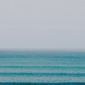 Meet your Posher, Chelsey